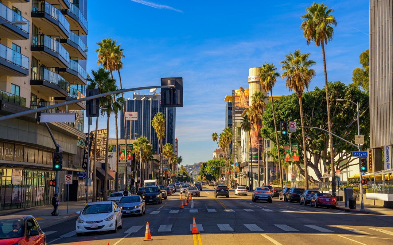 Los Angeles private  full day or half day sightseeing trip