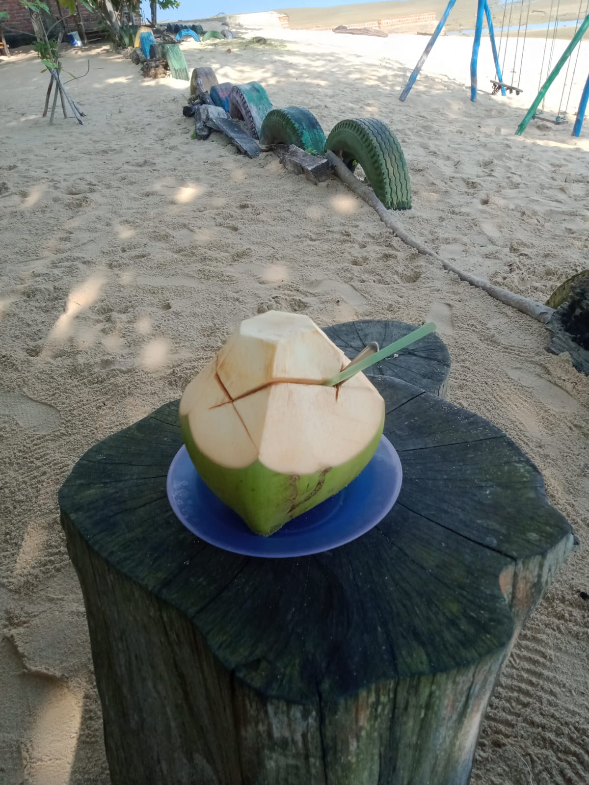 您通常可以在當地市場或海灘附近的雜貨店找到嫩椰子。尋找那些摸起來很重、外殼光滑呈綠色且沒有明顯損壞跡象的椰子