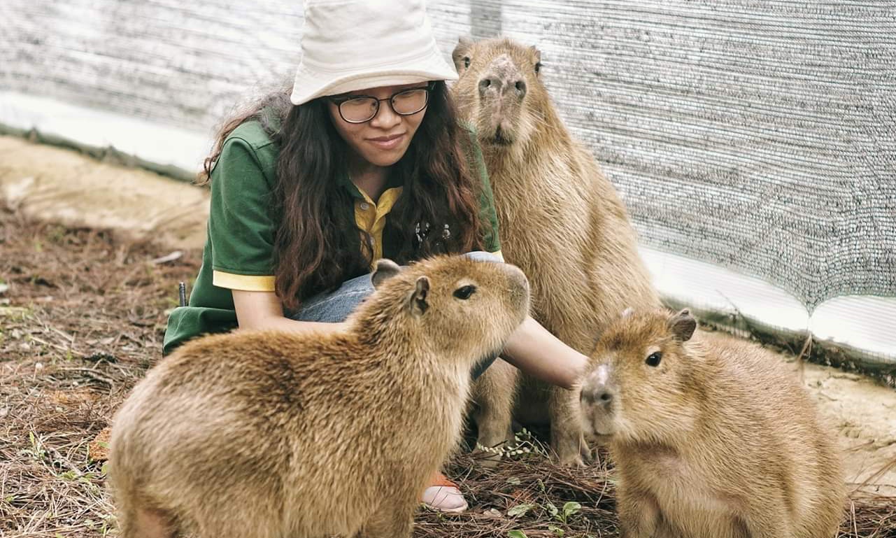 大叻 ZooDoo 動物園門票