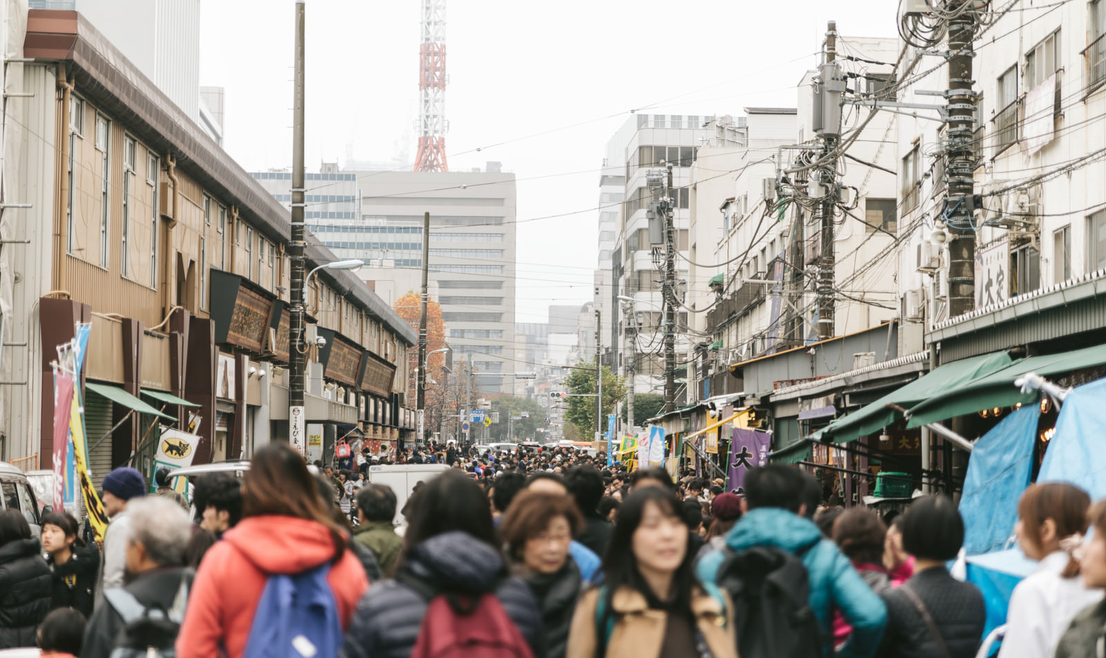 波斯語東京清真之旅：與伊朗導遊一起探索這座城市