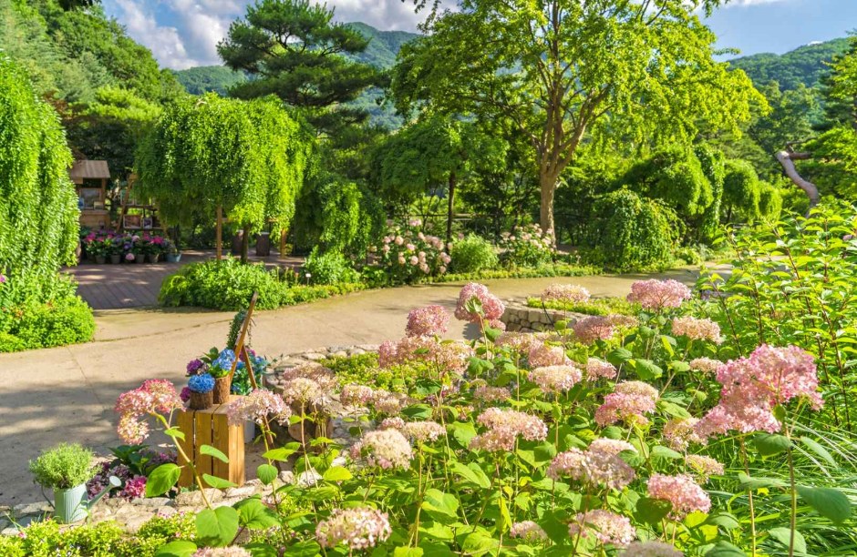 Hwadam Forest requires 100% advance reservation, but for the convenience of foreign tourists, tickets can be purchased on-site by presenting a passport (with an entry stamp).
Please note that travel agencies cannot purchase tickets on behalf of visitors t
