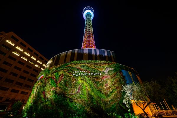 Yokohama Marine Tower Observation Floor Ticket