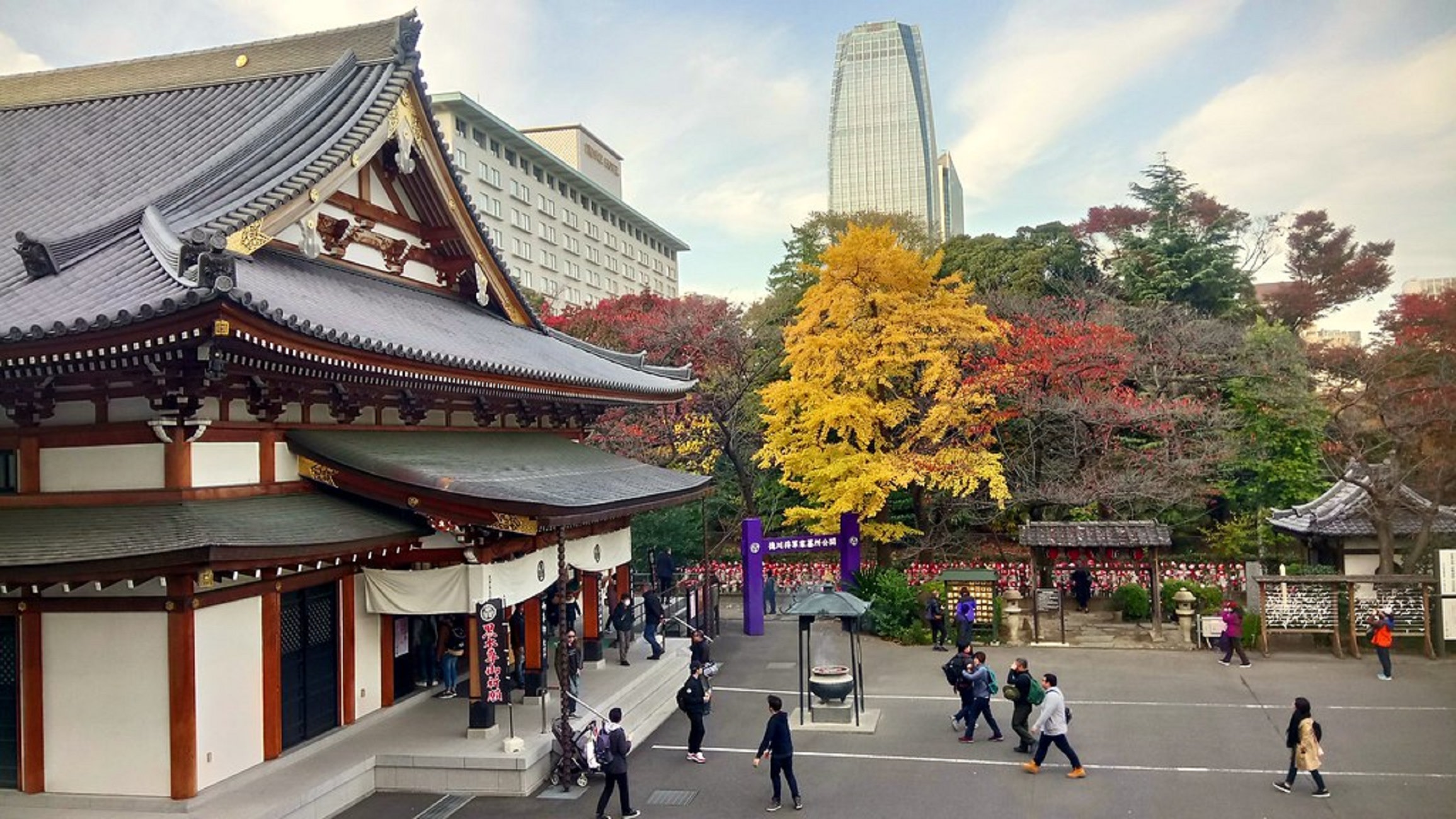Tokyo Tower Top Deck & Zojo-ji Half-day Guided & Walking Tour