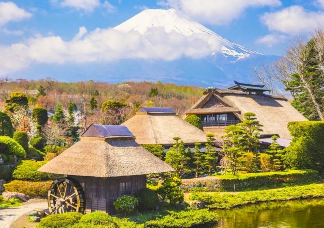 富士山箱根網紅打卡一日遊 （東京出發）
