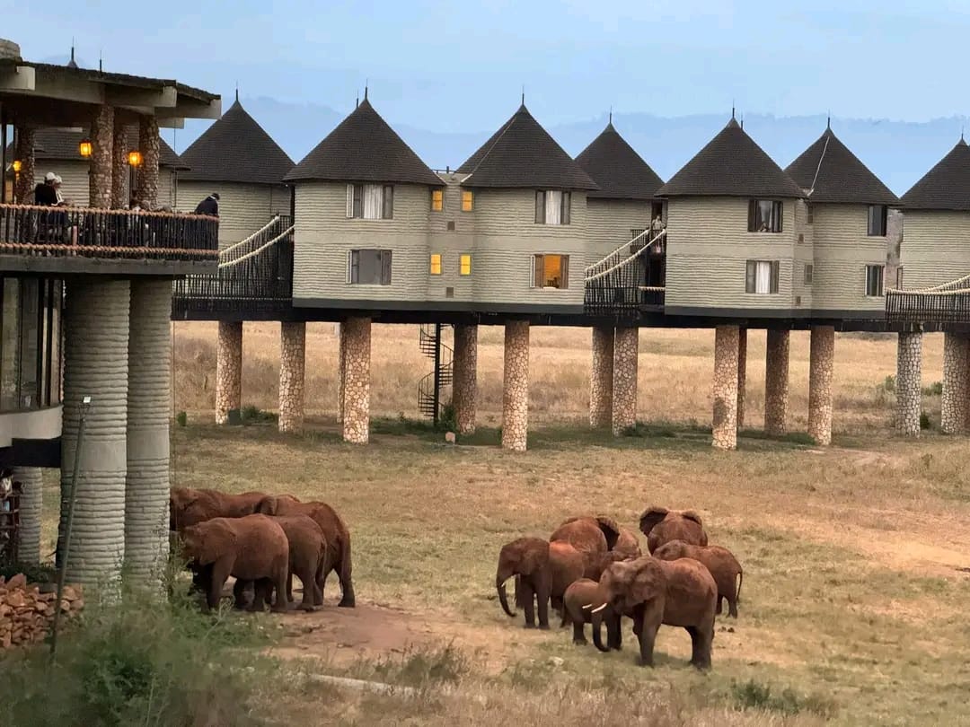 5 Days Amboseli Tsavo West &amp; East Safari.