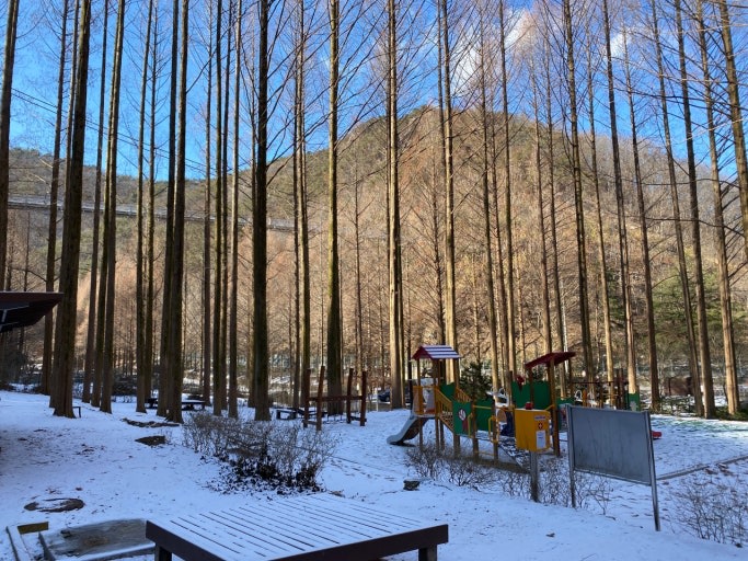 Daejeon Jangtaesan Forest & Jungang Market Discovery with Local Food