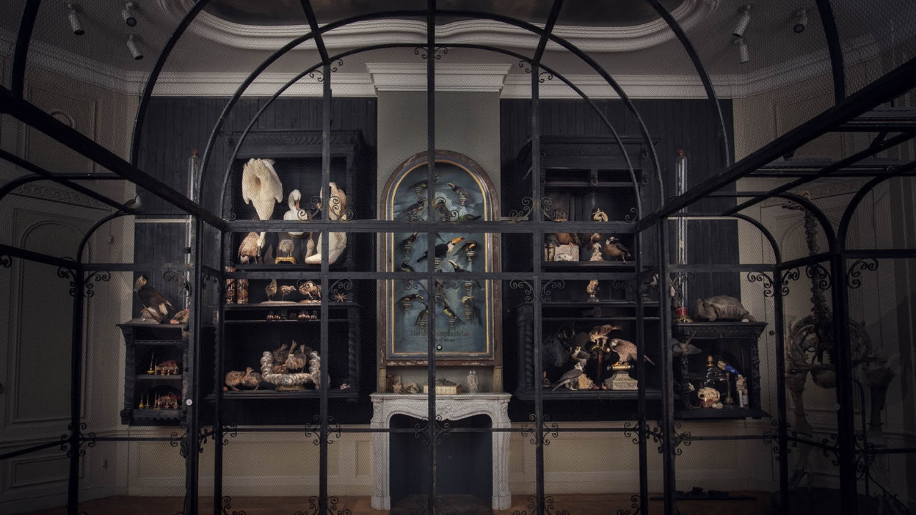 Art Zoo Museum ticket in Amsterdam