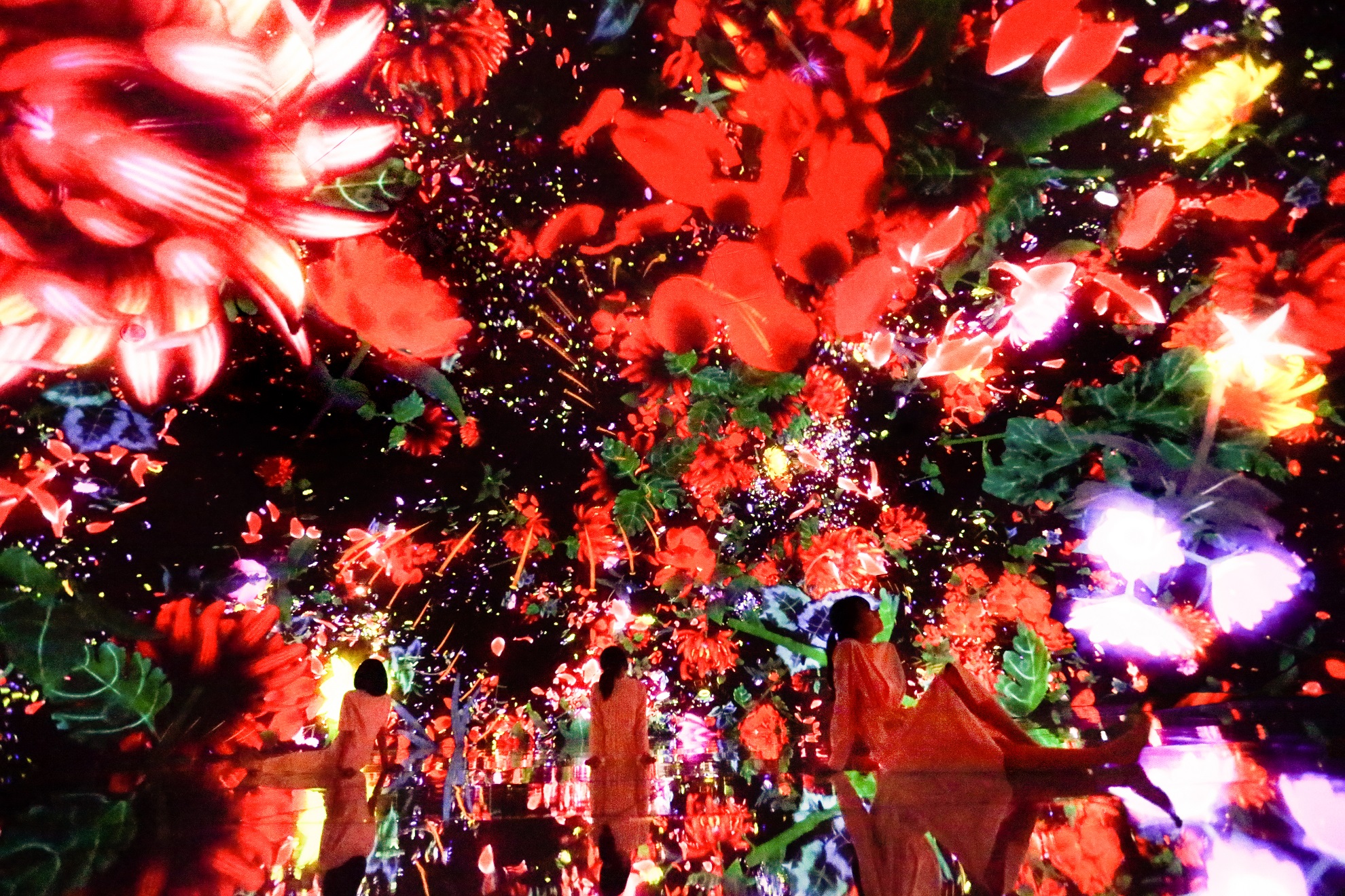東京徒步之旅（含海鮮自助午餐 & teamLab Planets門票）