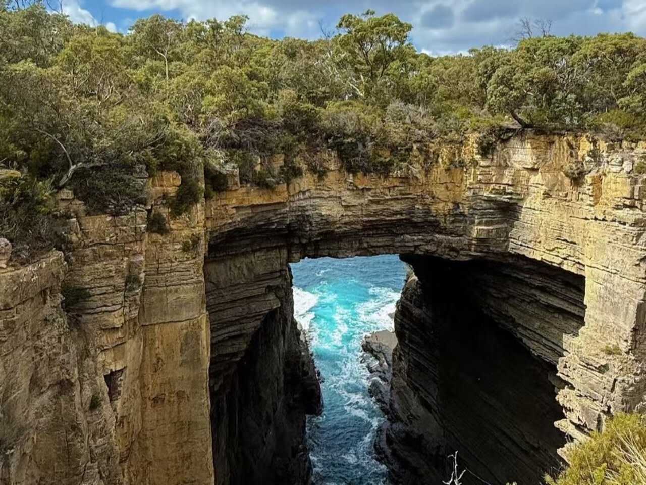 在塔斯曼國家公園 (Tasman National Park) 驚嘆於崎嶇的海岸線和塔斯曼拱門 (Tasman Arch) 等地質奇觀。