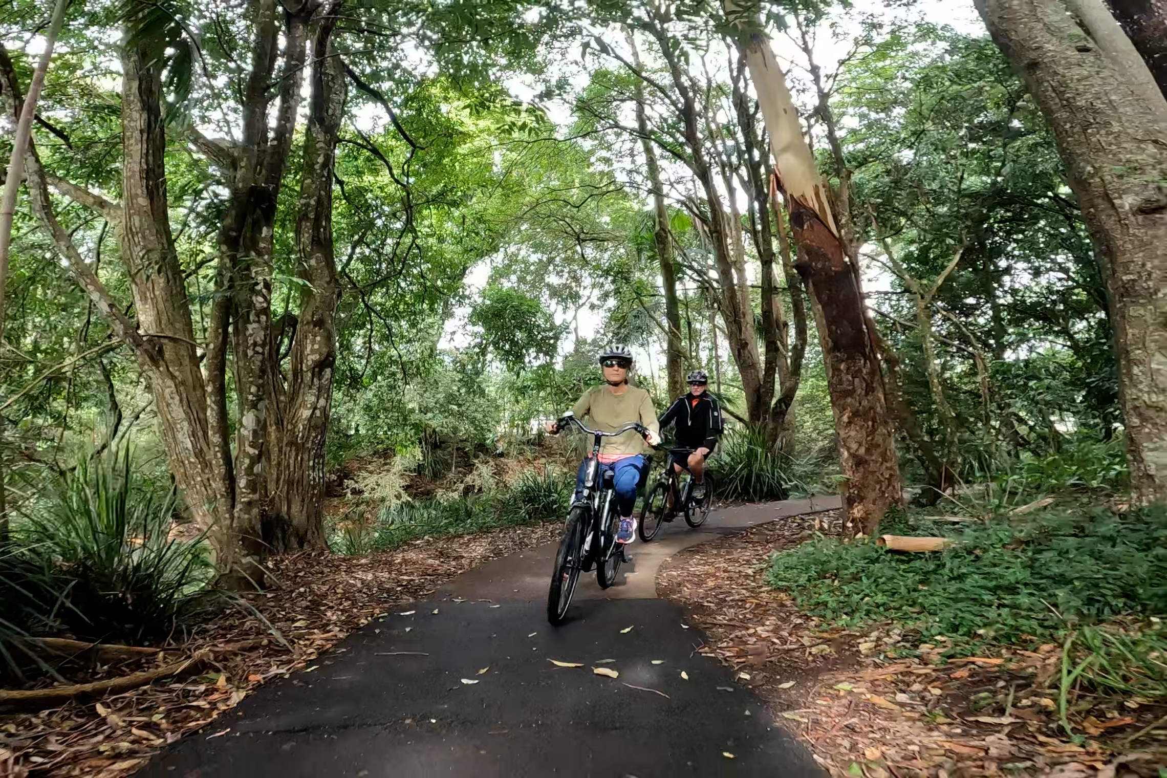 Maleny Magic e-Bike Tour