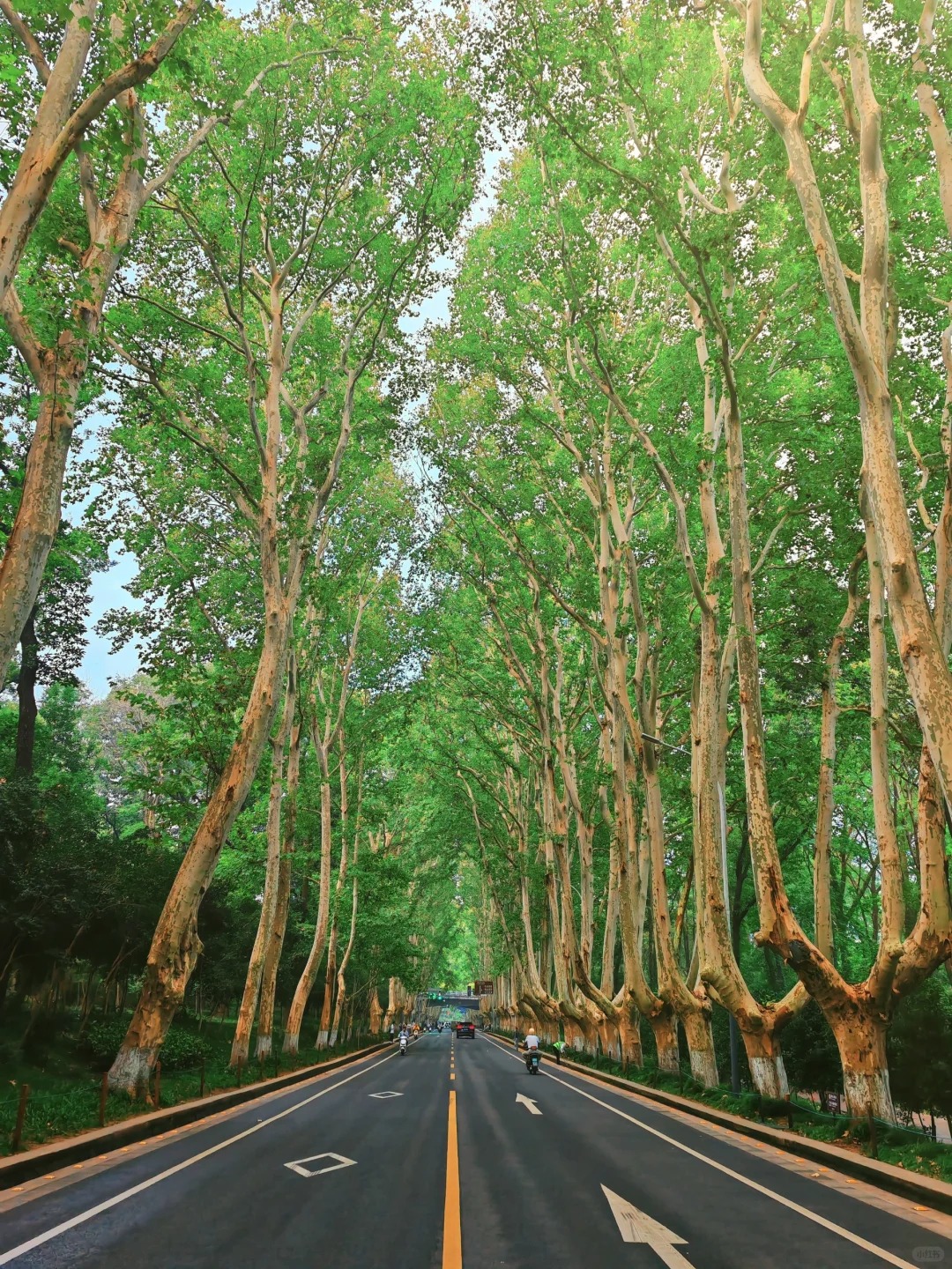 南京民國說一日遊