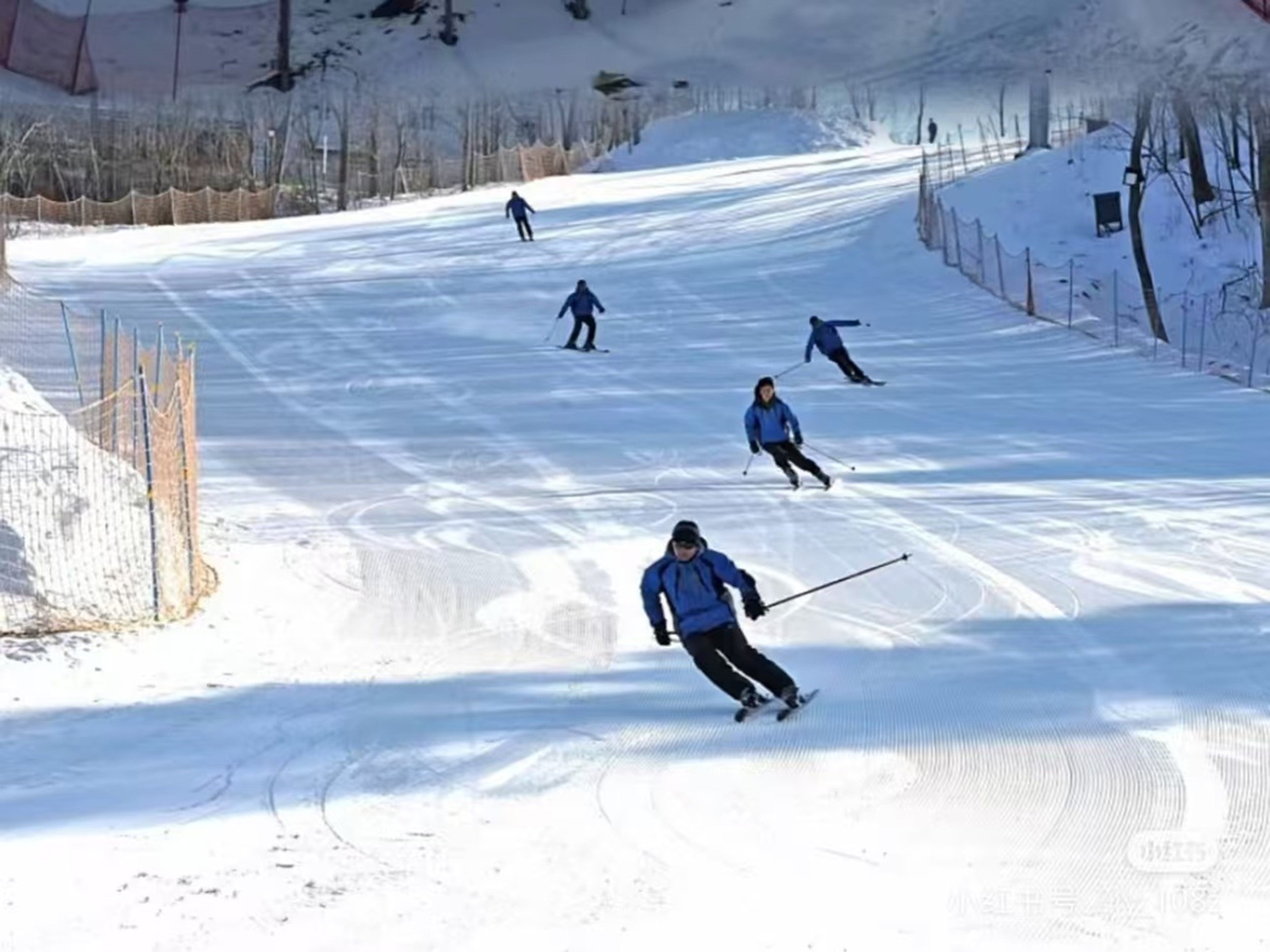 藍裝滑雪者列隊滑下，雪道留著蜿蜒軌跡，圍欄與枯樹襯邊，日光鋪灑，盡顯雪上競速的動感