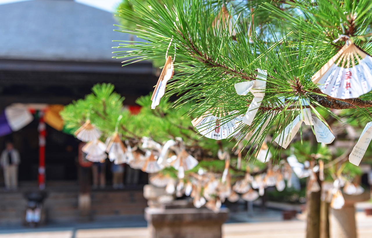 Kyoto by the Sea & Amanohashidate Observation Deck & Chion-ji Temple & Monju-do Hall & Ine Funaya