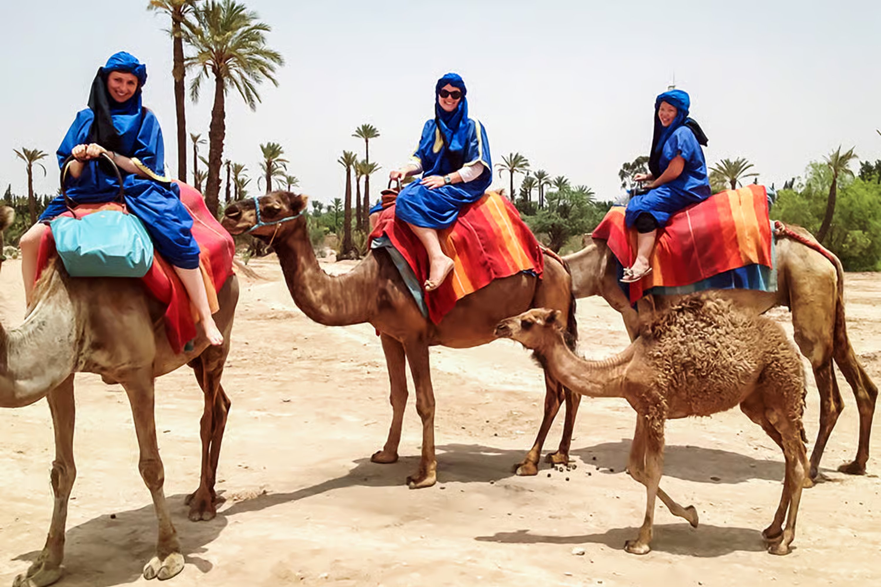 Palmeraie Oasis Camel Ride with Mint Tea in Marrakech