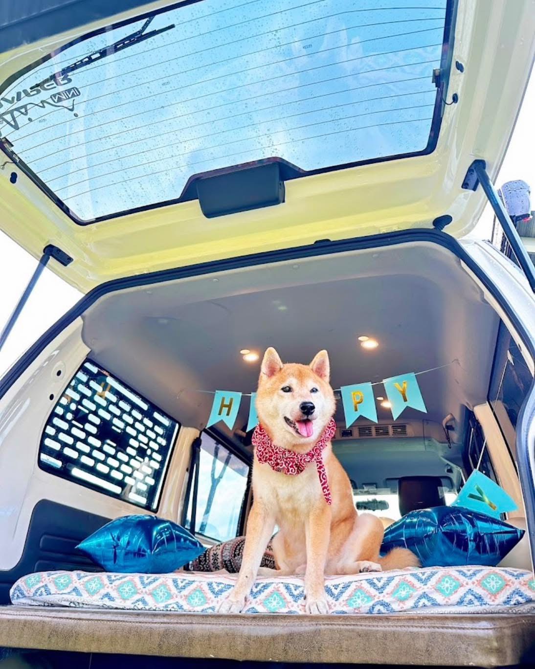 你有多久沒有帶狗狗出門放風,別猶豫了,來一趟放鬆的輕旅行 你有多久沒有帶狗狗出門放風,別猶豫了,來一趟放鬆的輕旅行