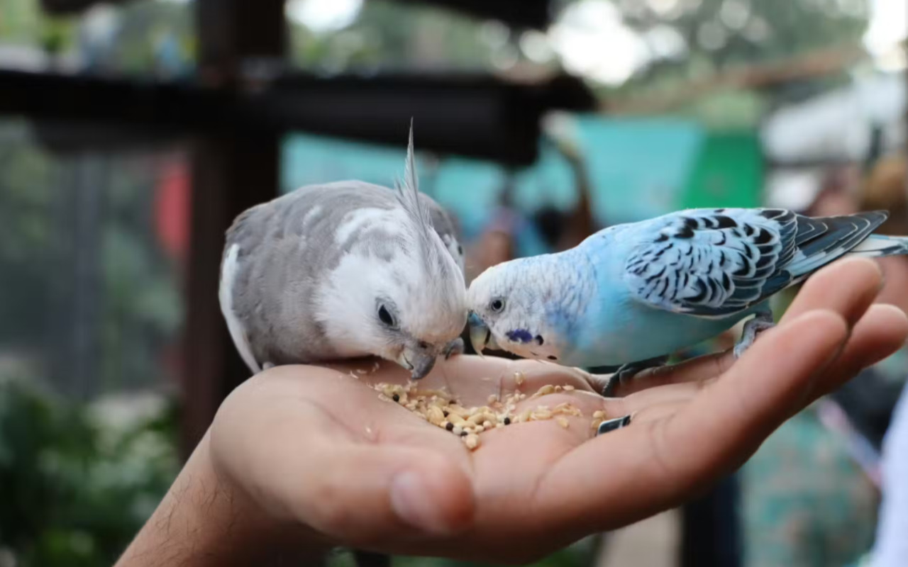 在水族館體驗中,挑戰雷射槍戰和遊戲區等刺激的室內活動 在水族館體驗中,挑戰雷射槍戰和遊戲區等刺激的室內活動