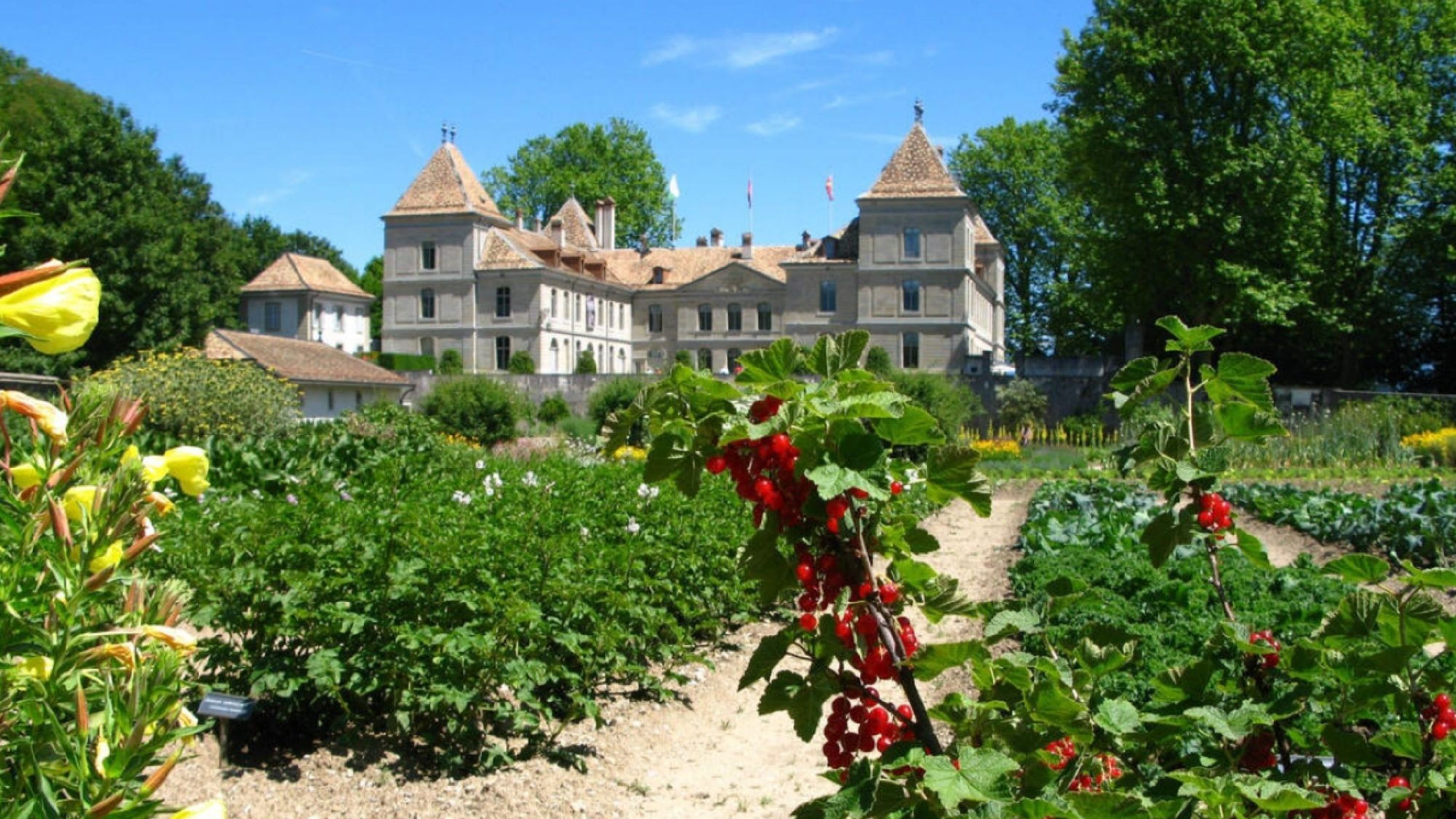 Chateau de Prangins ticket in Switzerland
