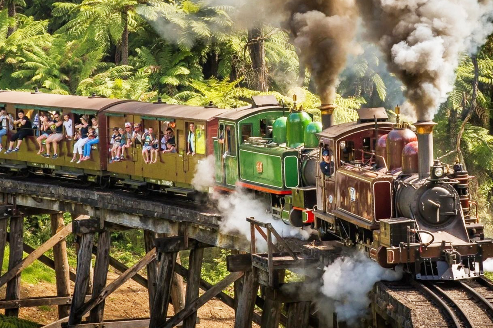 Puffing Billy Railway & Phillip Island Full-Day Nature Tour