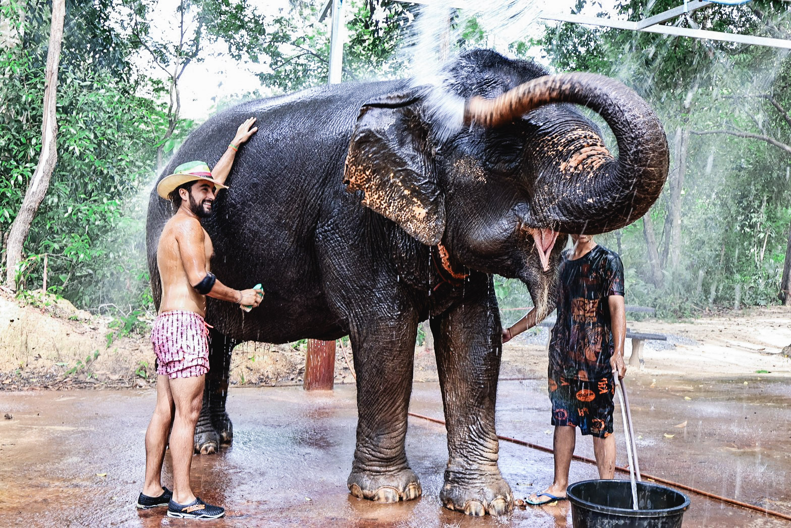 甲米大象保護區（Krabi Elephant Shelter）體驗