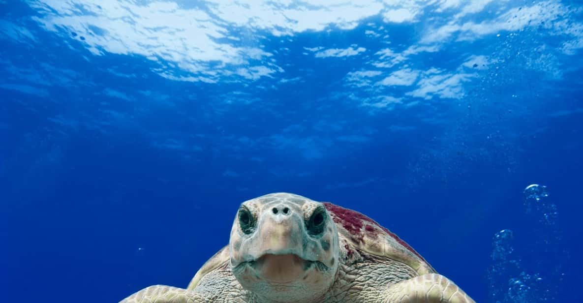 Galle & Hikkaduwa Full-Day Private Tour