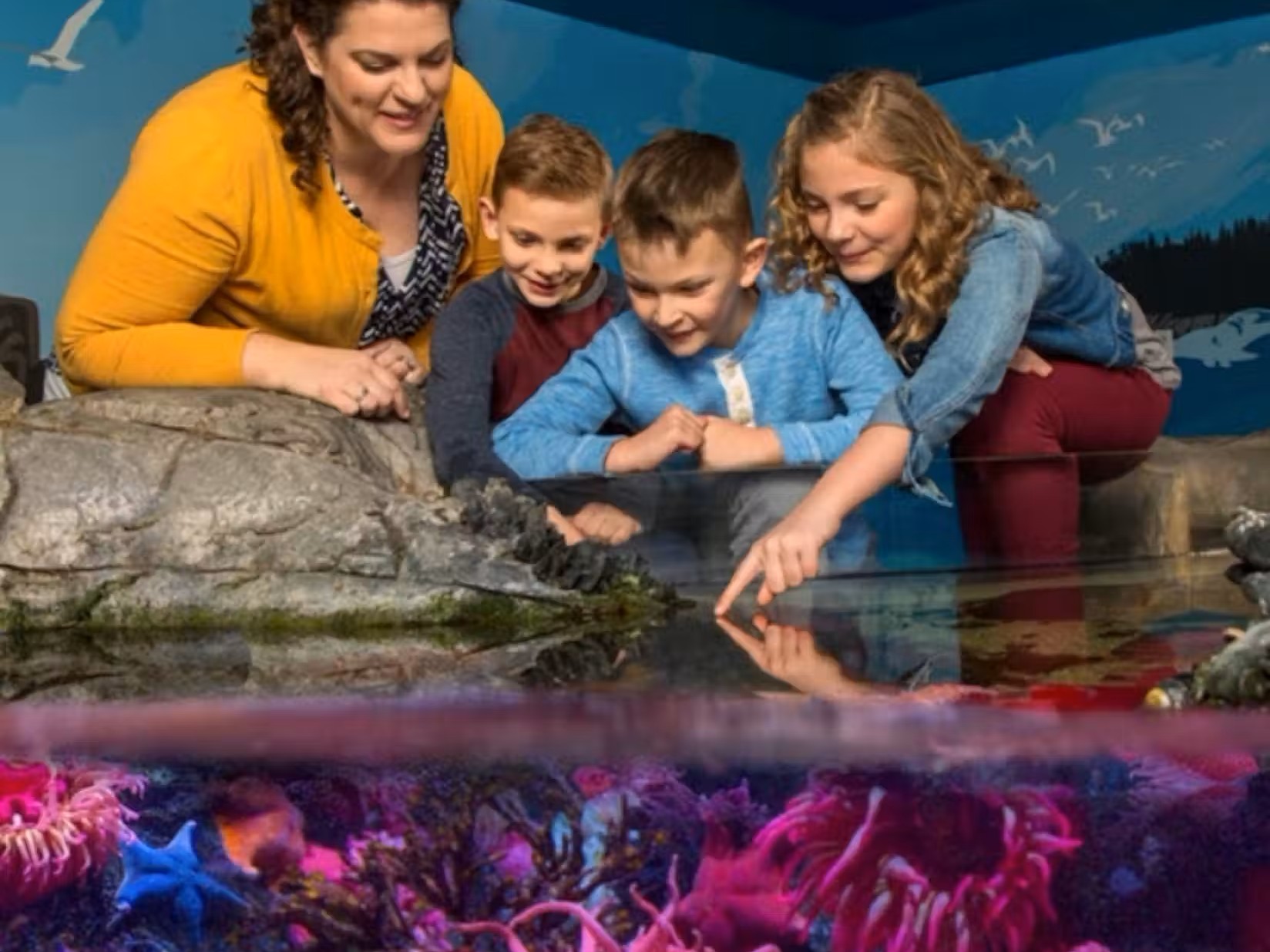 SEA LIFE Kansas City Ticket