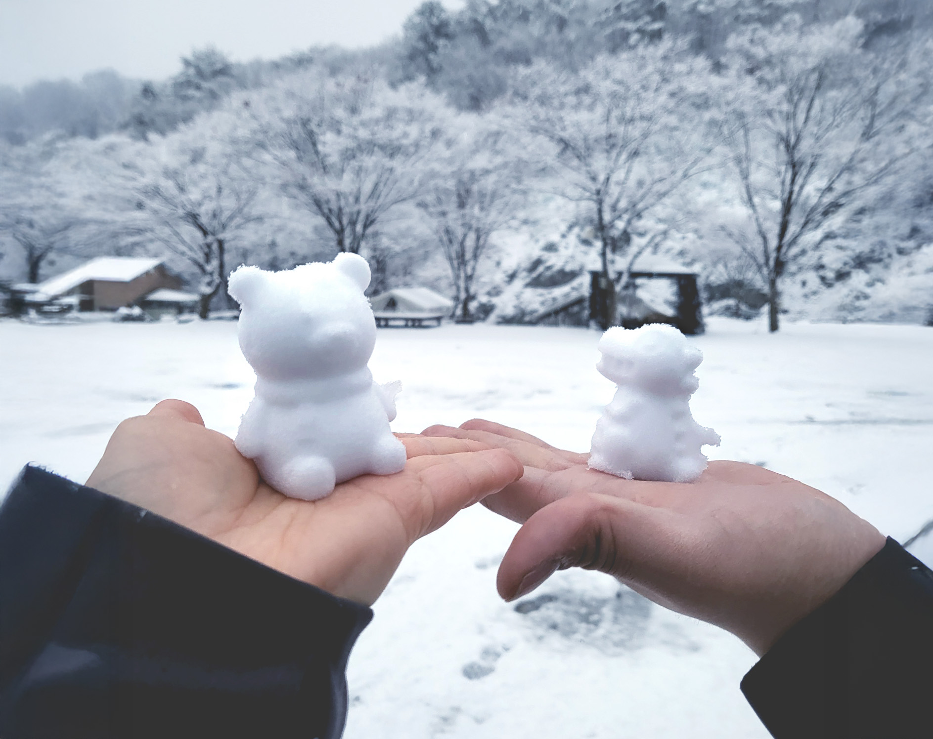 ☃️在雪嶽冰雪小鎮,近距離欣賞冰崖的壯麗美景,體驗真正的韓國冬季魔法! ☃️在雪嶽冰雪小鎮,近距離欣賞冰崖的壯麗美景,體驗真正的韓國冬季魔法!