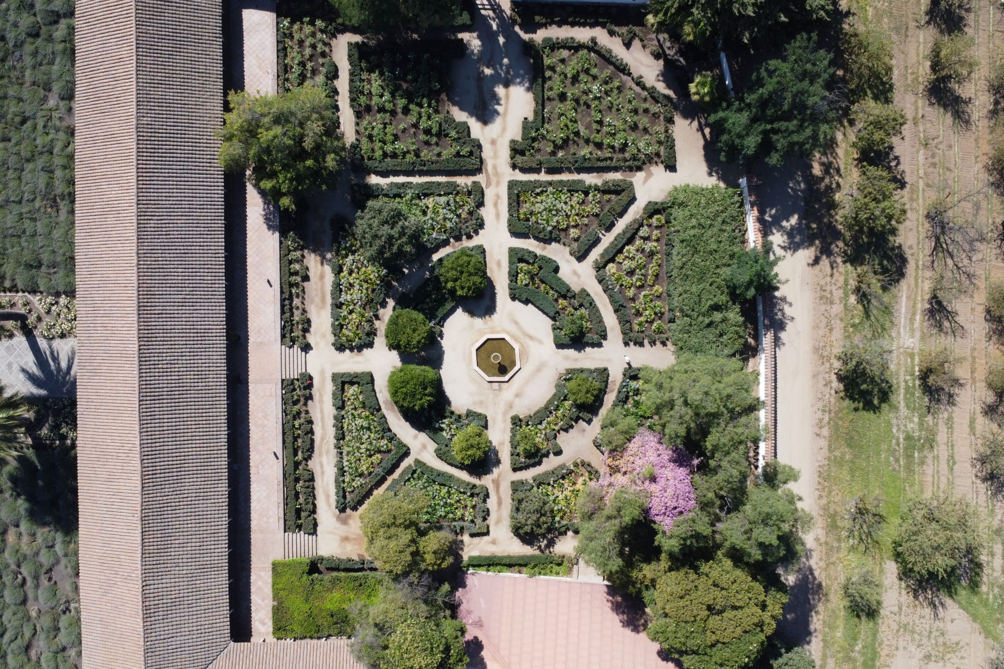 Santa Rita Vineyard Tour with Lunch, an Unforgettable Day!