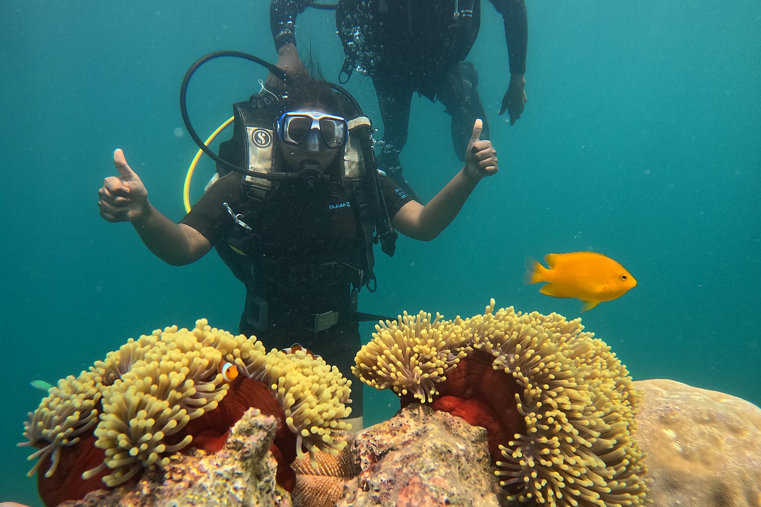 Scuba Diving in Havelock Island for Non-Swimmers and Beginners