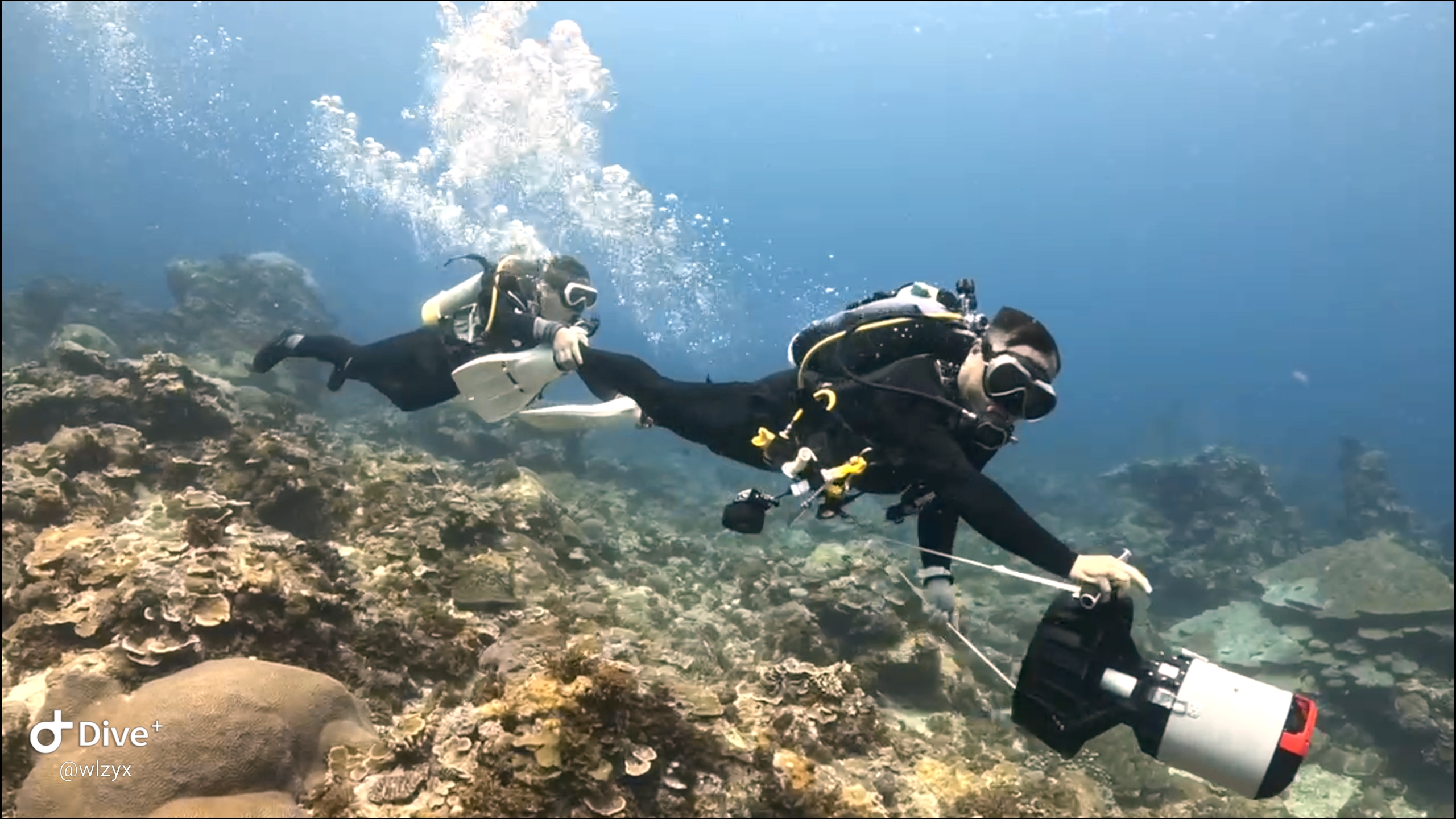 綠島: 水中推進器課程＆體驗