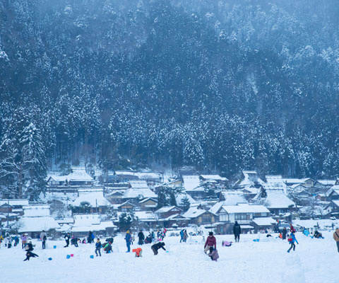 Miyama Snow Lantern Festival Day Tour from Osaka