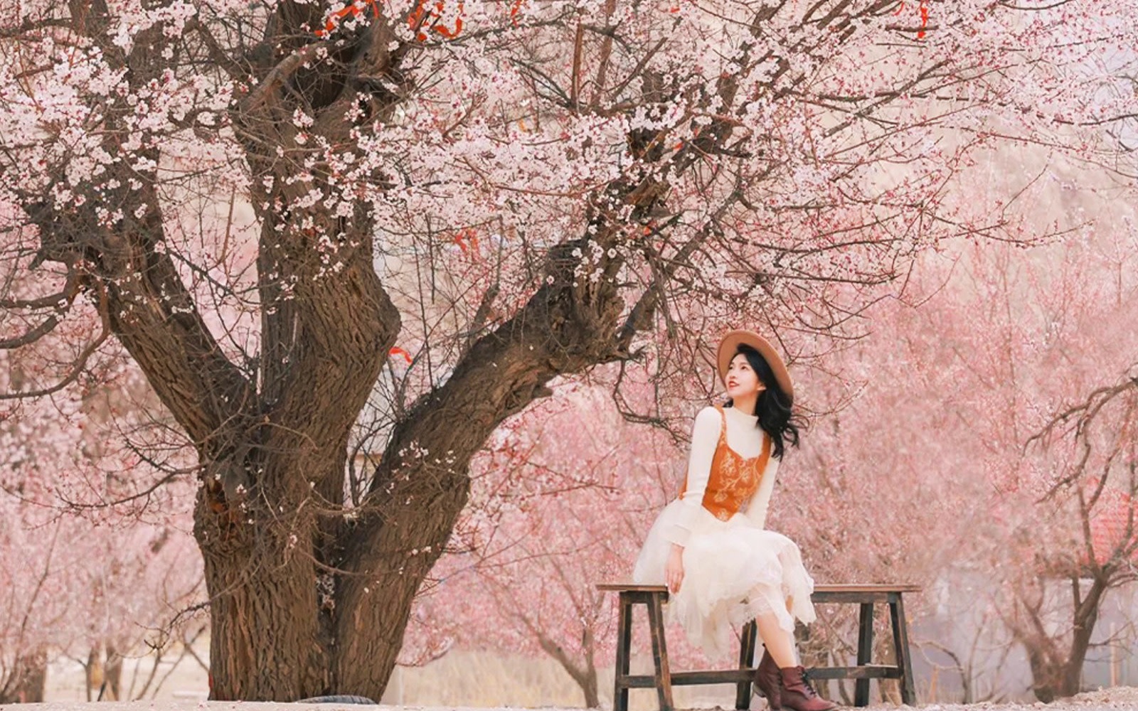 10-day apricot blossom tour in Southern Xinjiang for small groups
