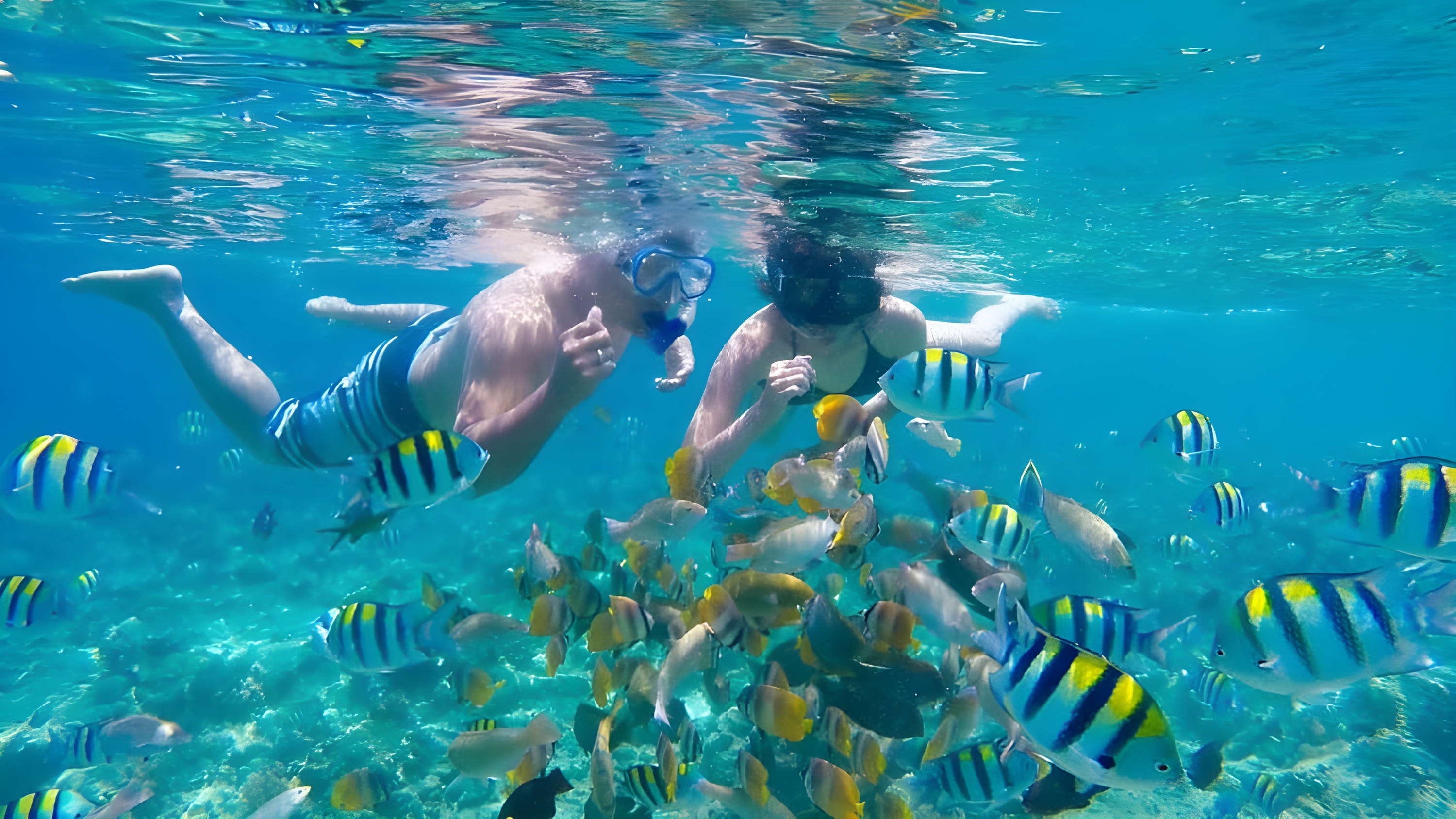 Snorkeling Tour in Gili Islands Lombok