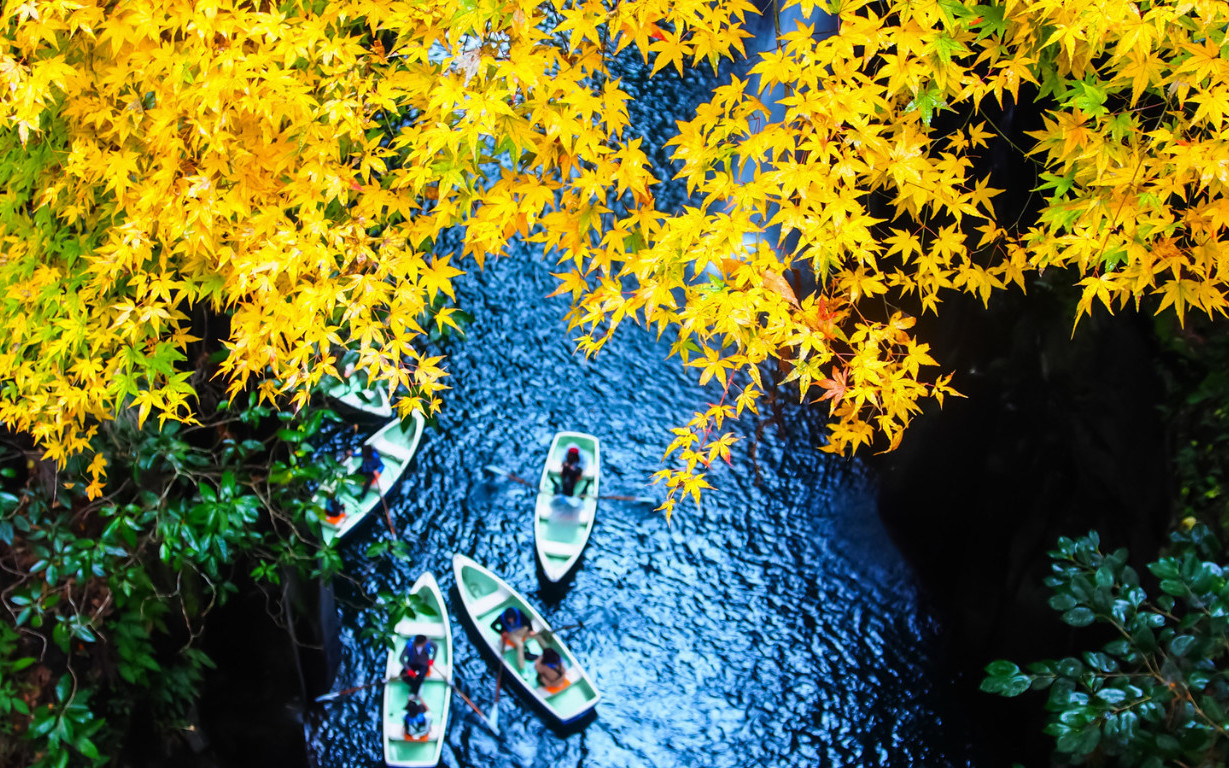 Kumamoto Takachiho Gorge Full-Day Private Tour with Takachiho Beef Lunch