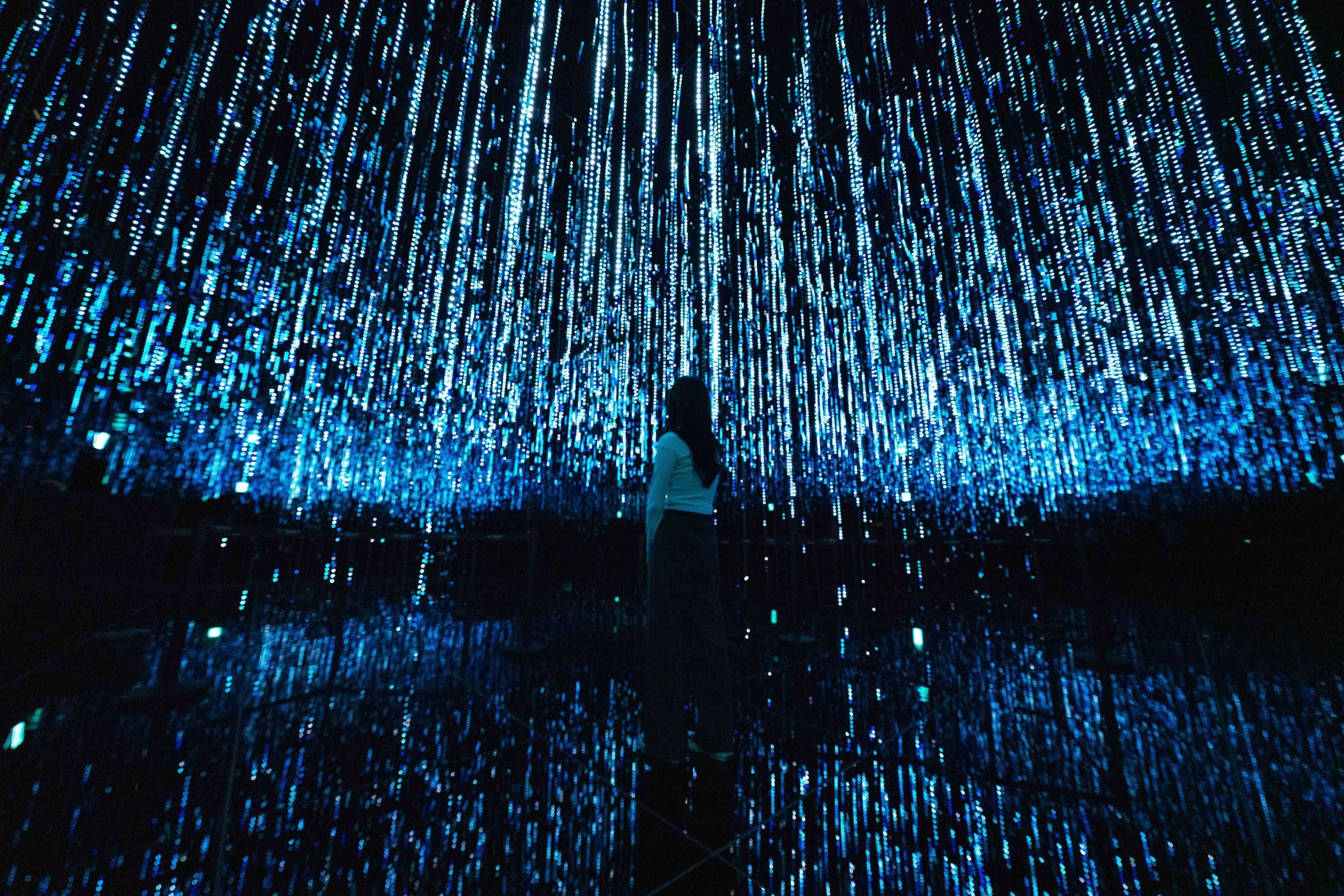 Seoul Day Tour: LE SPACE, Zoorarium, Hanok Village &amp; Nanta Show