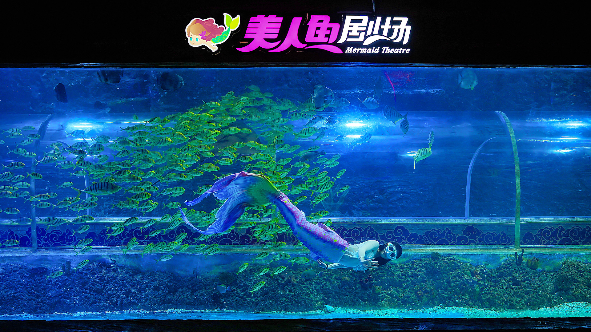 深圳觀瀾海洋世界門票