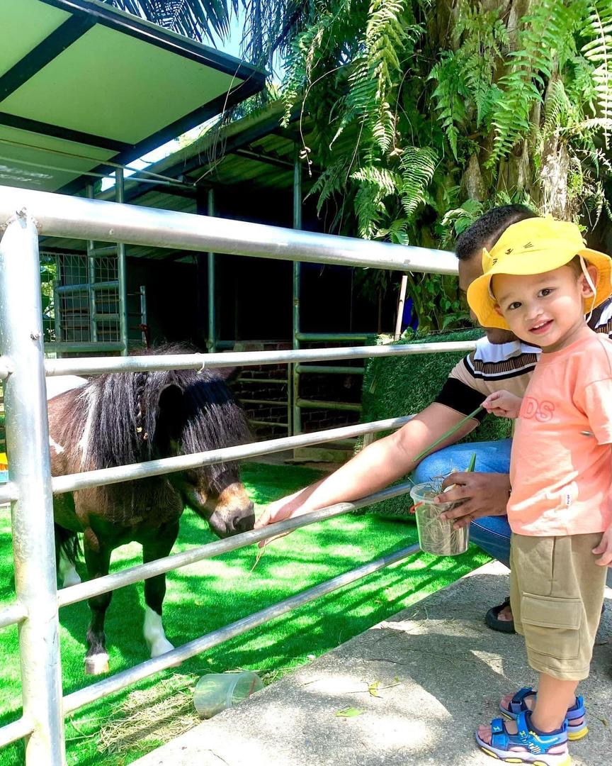 雪蘭莪沙登G2G動物園門票