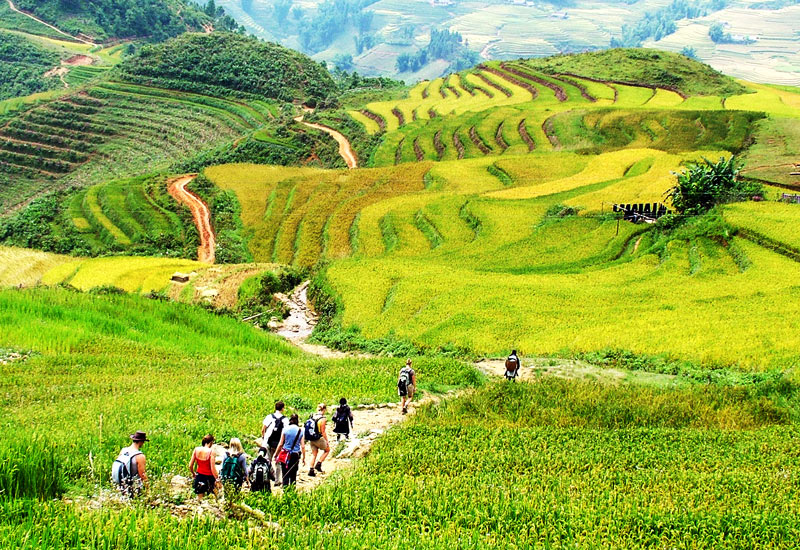 漫步於沙壩經典的梯田與風景優美的山間小徑。