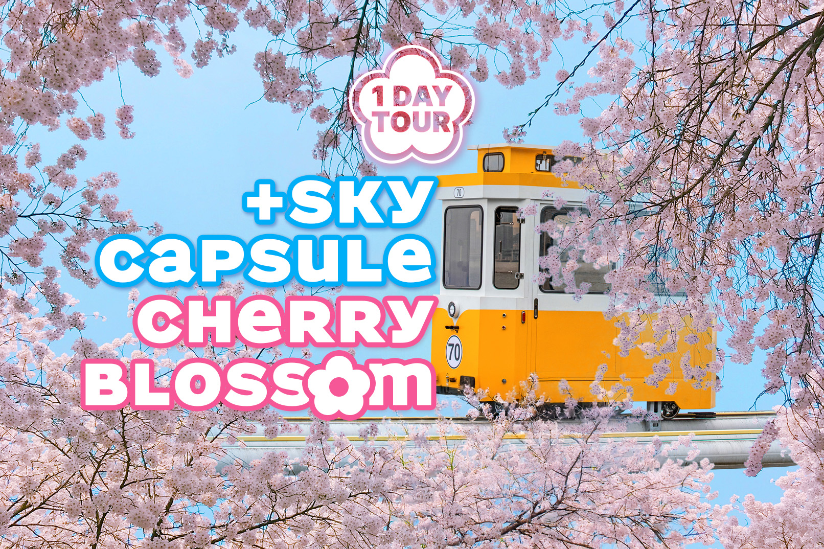 海雲臺天空膠囊列車&追逐櫻花一日遊（釜山出發）