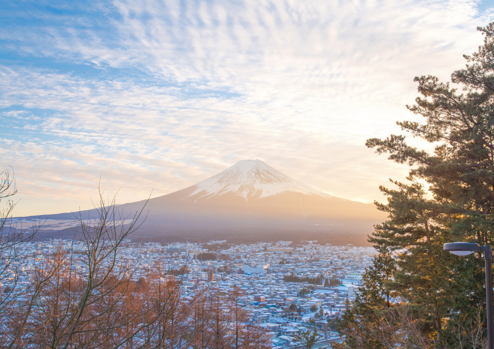 Fuji Mountain Views & Kikyō Shingen Mochi All-you-can-pack Tour