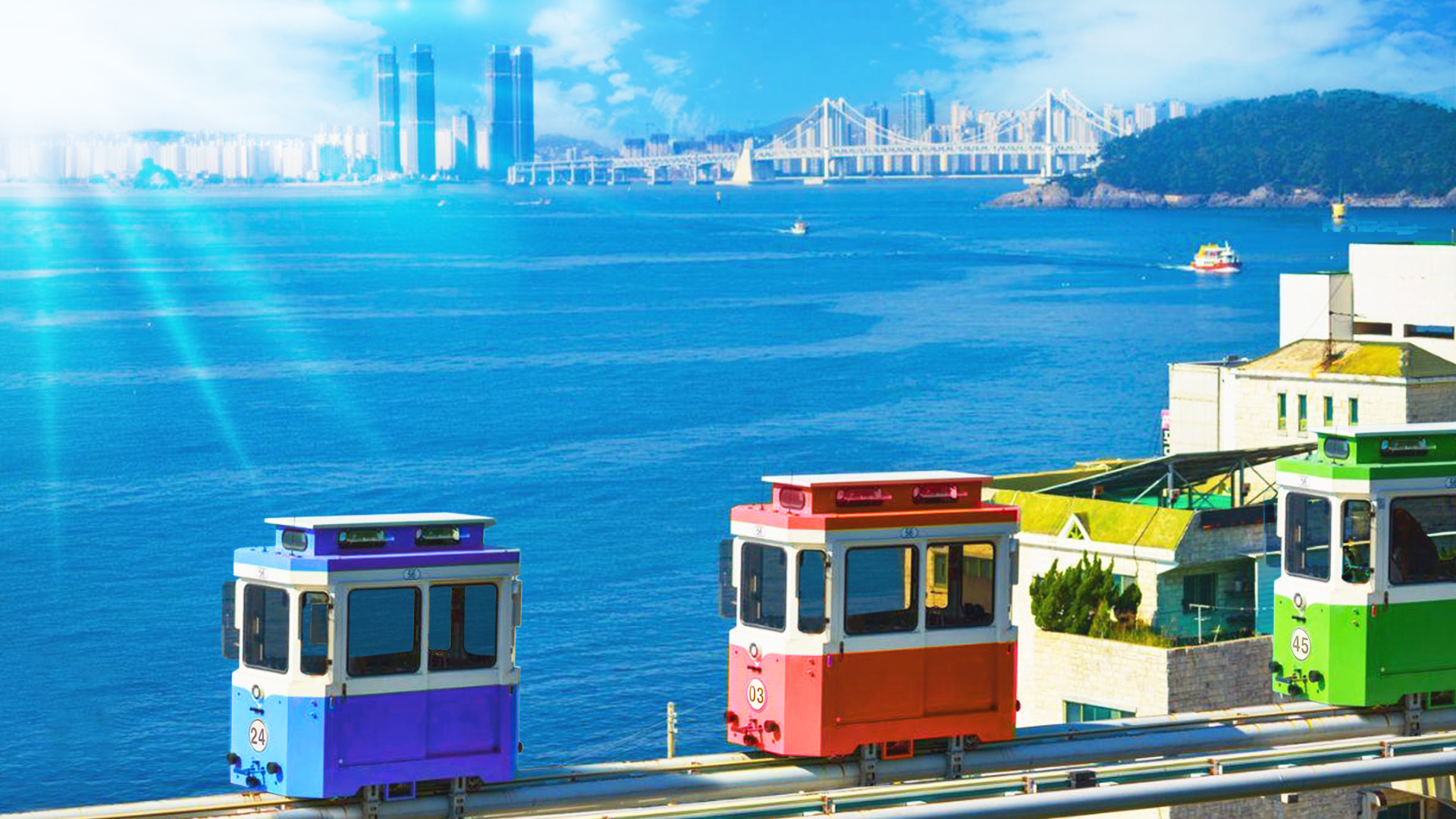 太宗臺繡球花 / 松島海上纜車 / 甘川洞 / 廣安裡之旅