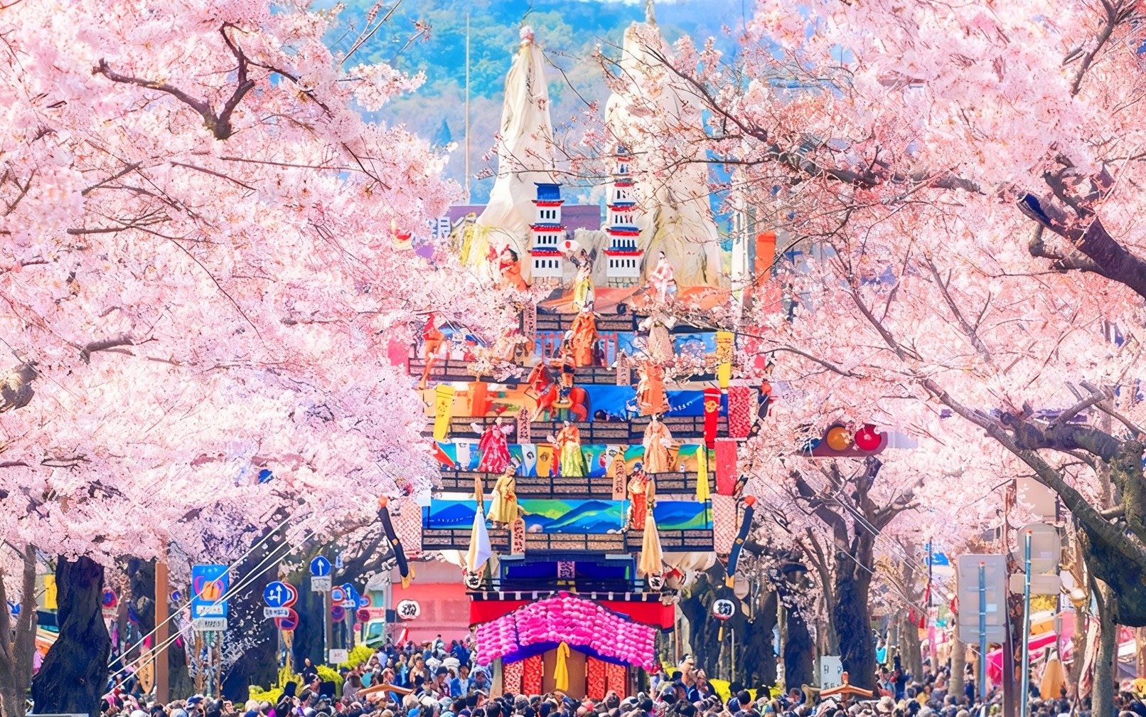 Spring Cherry Blossom and Seaside Trip: Yabiki Kannon Senbon Sakura & Hitachi Cherry Blossom Festival & Glass Seaside Station Day Trip 