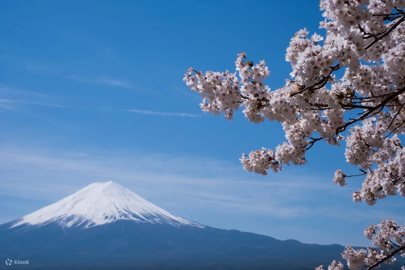 Mount Fuji Flower Viewing & Outlet Shopping One-day Tour (Departing from Tokyo)