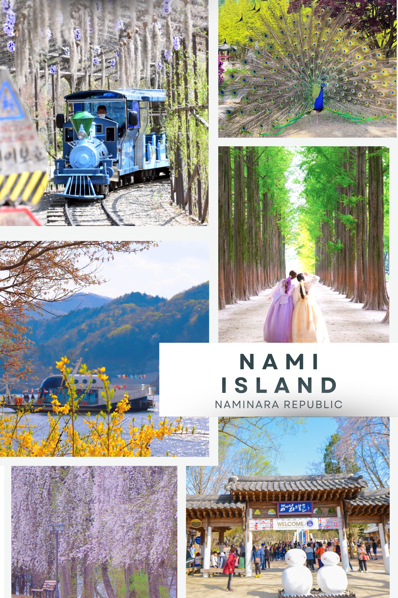 南怡島是韓國最受歡迎的風景名勝之一，以其綠樹成蔭的小徑、寧靜的河畔風光和浪漫氛圍而聞名。這座島嶼在不同季節展現截然不同的迷人魅力。