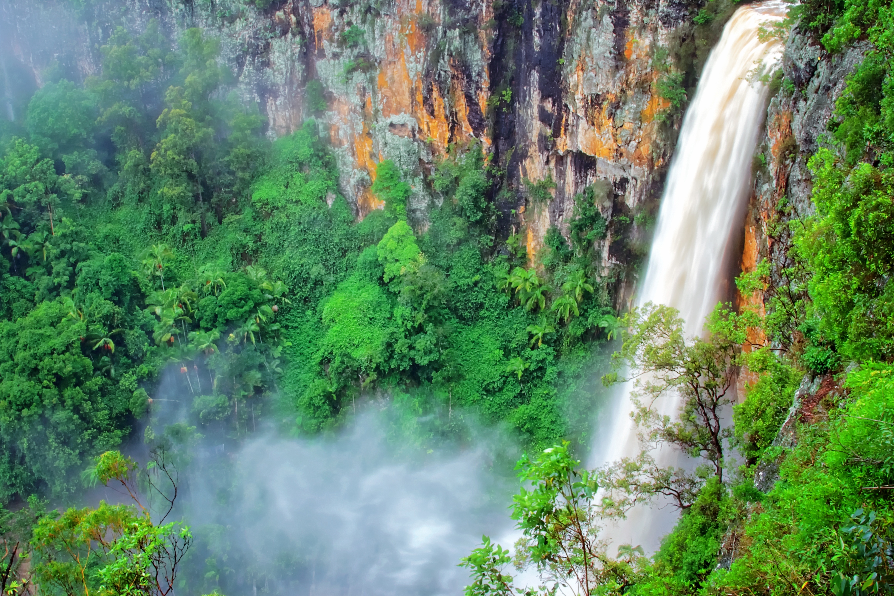 欣賞珀靈布魯克瀑布 (Purling Brook Falls) 壯麗的流水 欣賞珀靈布魯克瀑布 (Purling Brook Falls) 壯麗的流水