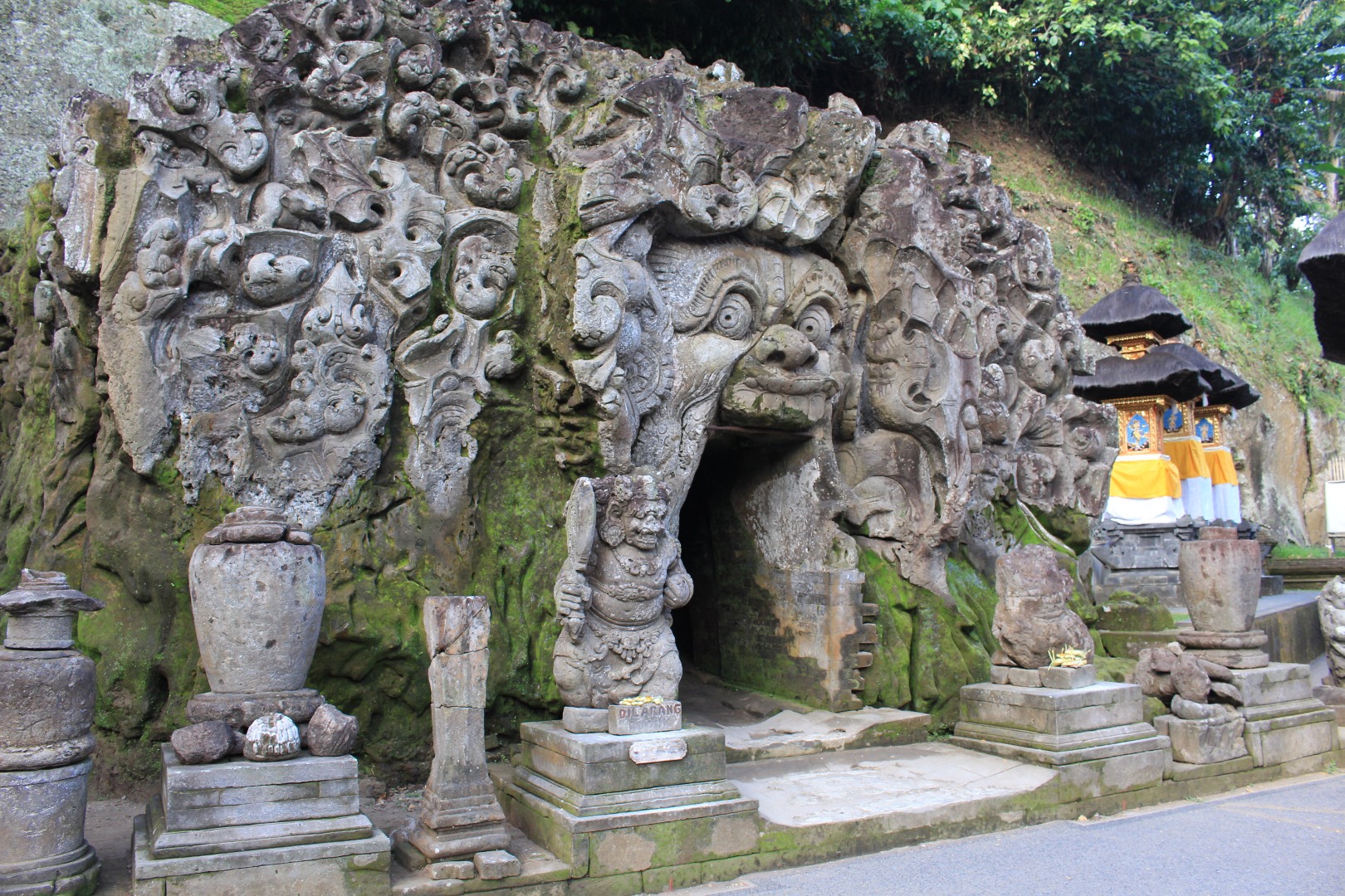 峇里島中部一日遊：德格拉朗梯田＆聖猴森林公園＆象洞