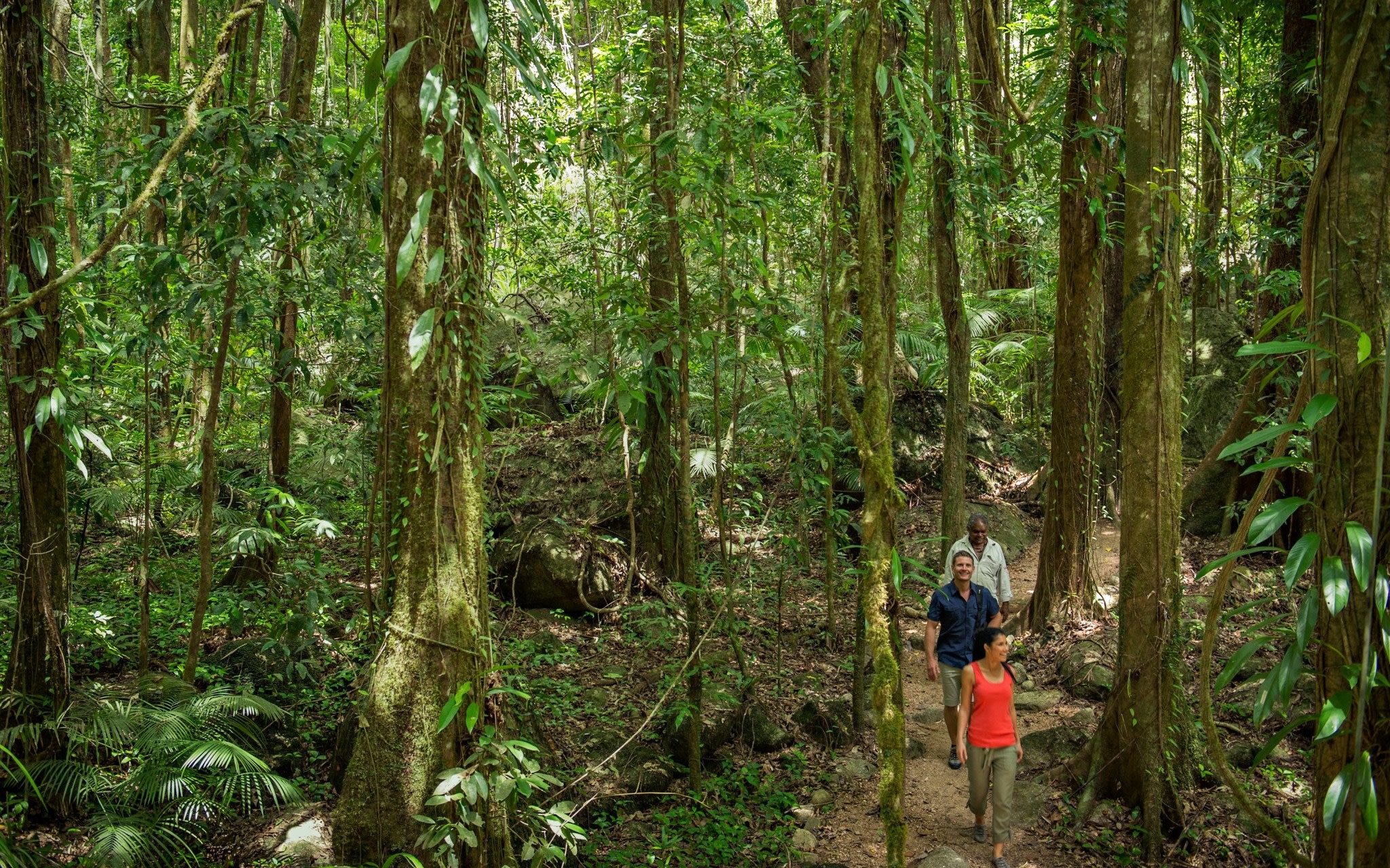 Mossman Gorge Daintree Rainforest Tour
