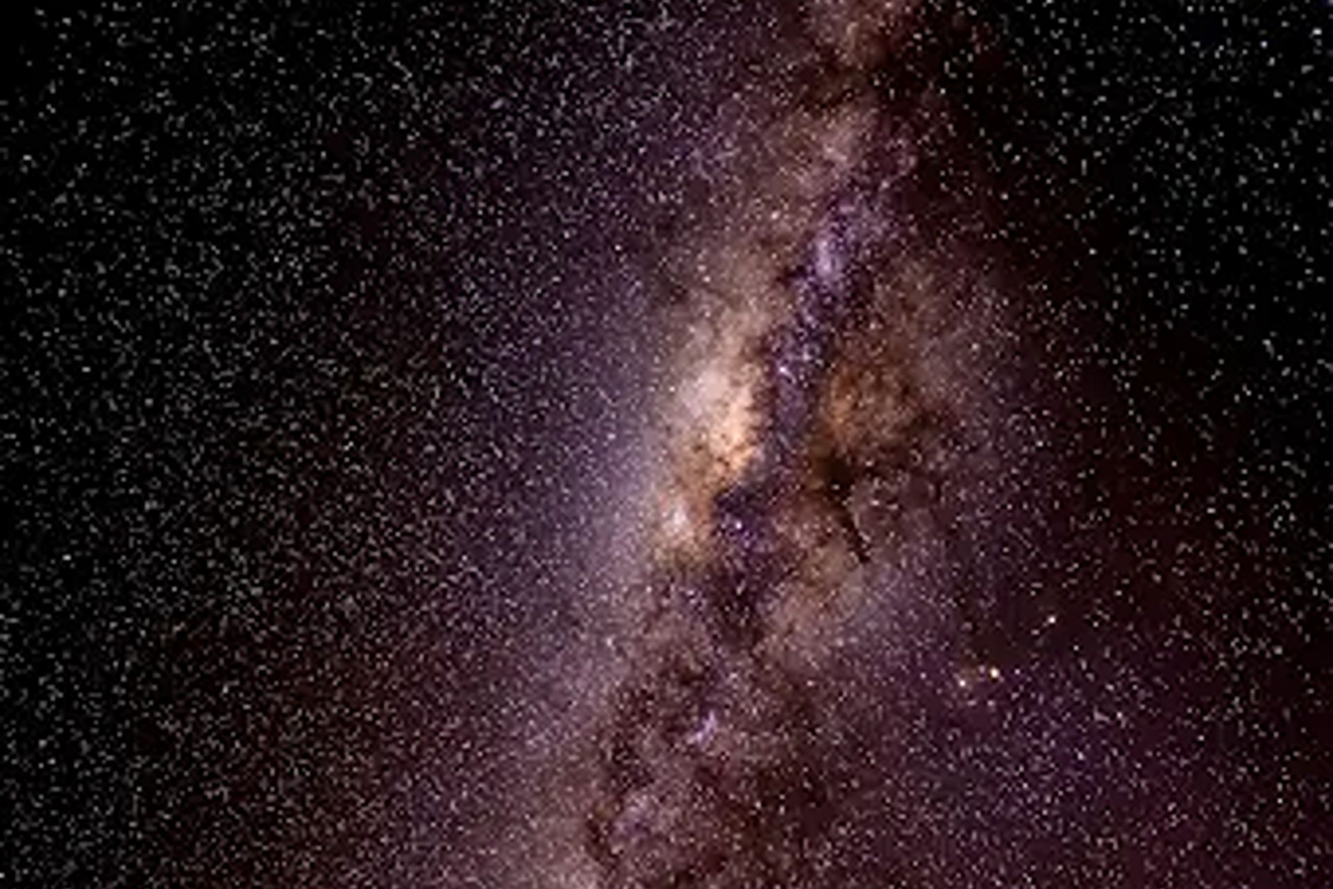 在星空下的雨林中,體驗魔幻的夜間野生動物探索之旅。 在星空下的雨林中,體驗魔幻的夜間野生動物探索之旅。
