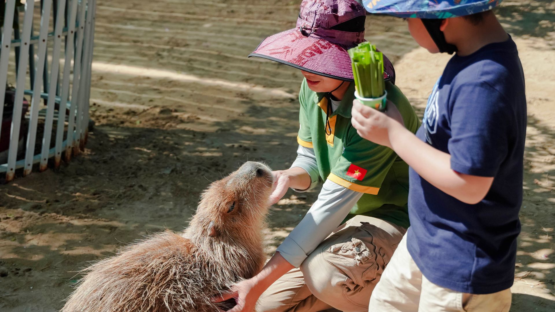 潘郎Tien Tien Farm農場 & 動物園門票