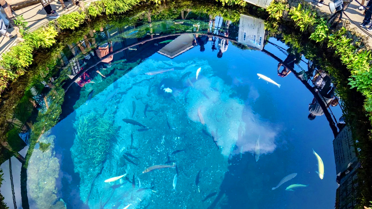 忍野八海是由八個由富士山雪融水匯聚而成的天然泉池所組成的名水聖地,被譽為“日本名水百選”之一 忍野八海是由八個由富士山雪融水匯聚而成的天然泉池所組成的名水聖地,被譽為“日本名水百選”之一