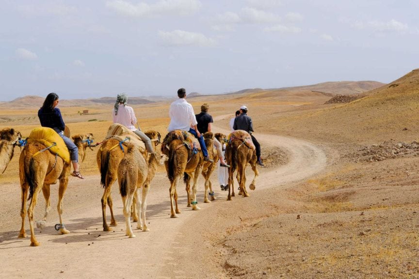 Agafay Desert Sunset Camel Ride from Marrakech